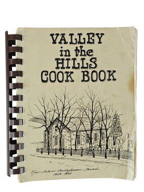 Valley In The Hills Cook Book New Salem Presbyterian Church Spiral-Bound Vintage